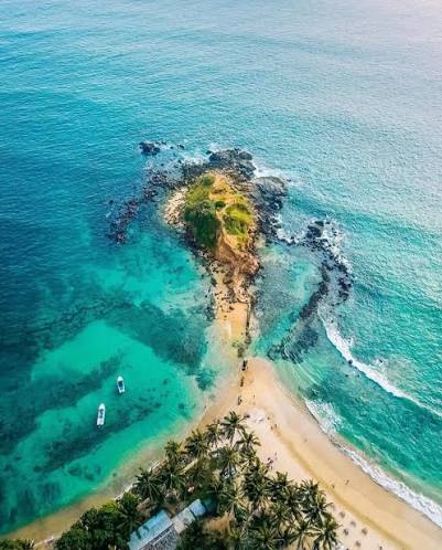 Parrot Rock