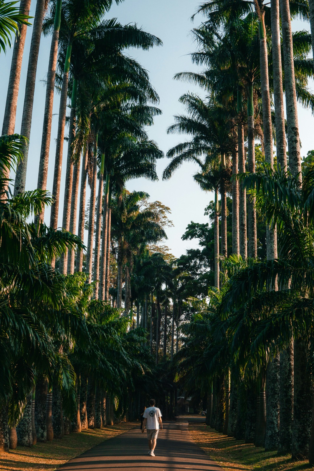 Royal Botanical Gardens, Peradeniya